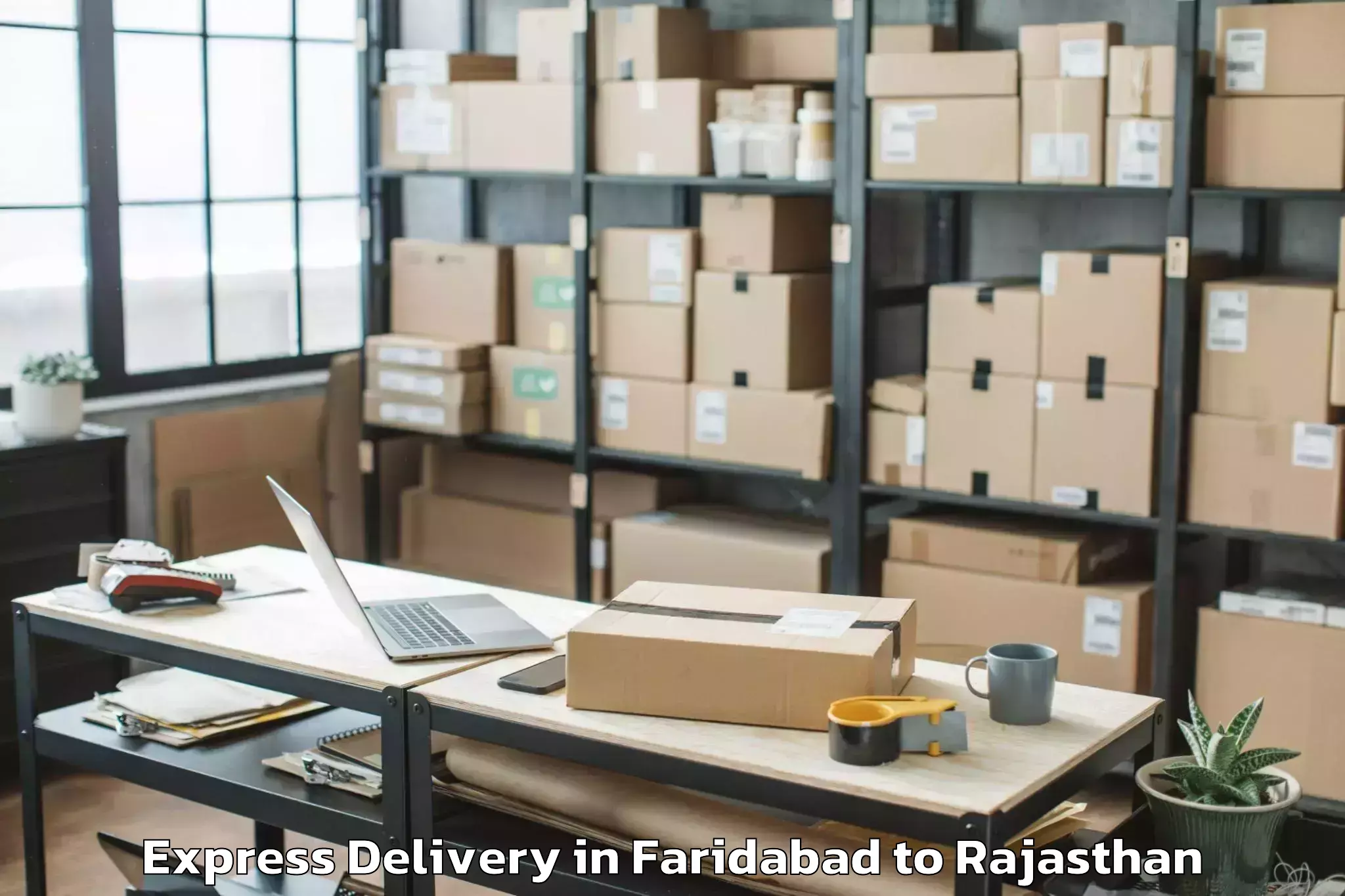 Affordable Faridabad to Udaypur Express Delivery